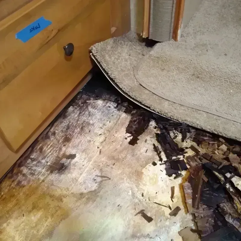 Best Wood Floor Water Damage Service in Houghton Lake, MI